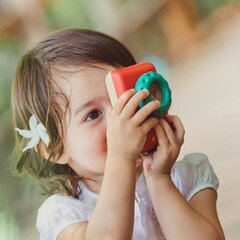 PlanToys top houten speelgoed